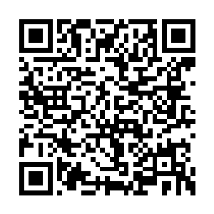 还不如静悄悄的躺着吸收养尸地的阴气来的舒服二维码生成
