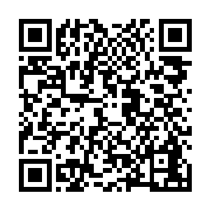 还不就是因为他们队伍里有着一个堪称国内最强的打野二维码生成