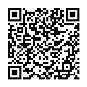 还不得认定了你们就是靠着收买老师提前拿到了试卷二维码生成