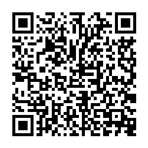 还不忘告诫眼珠子悄悄转动的她若是胆敢私自放了龙舌雀就喝不到梅花粥二维码生成