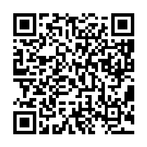 还不忘大有深意的往元瞋和谢修等两族的大妖王斜觑了一眼二维码生成