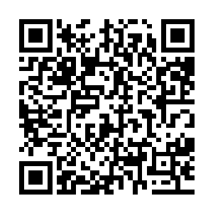 还不快点把你今天发烧发的忘了自己是谁的事情告诉王爷王妃二维码生成