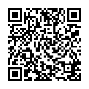 还不断的有头顶上的树枝树干掉落在井口上的铁板上二维码生成