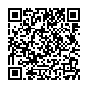 还不断的趁用天劫精纯的力量来的冲破五劫障壁二维码生成