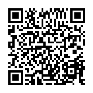 还不是因为基因延续和扩散的本能导致个体拥有自私自利的天性二维码生成
