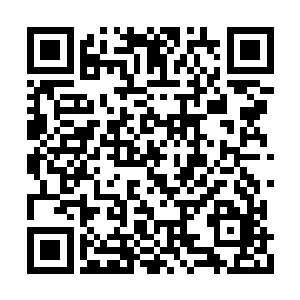 还不是用暴力手段去消灭所有不认同你们的人吗二维码生成