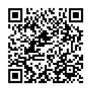 还不知道张薄来和令狐青松是不是开始攻击我们了二维码生成