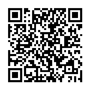 还不知道是哪年哪月在修仙界最终还是凭实力说话的二维码生成