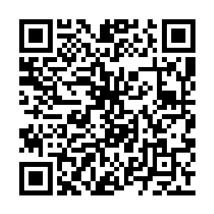 还不等张铁和白素仙靠近广场中间的骑士服务台二维码生成