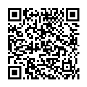 还不论输赢……其实唐天很想说这也太无耻了吧二维码生成