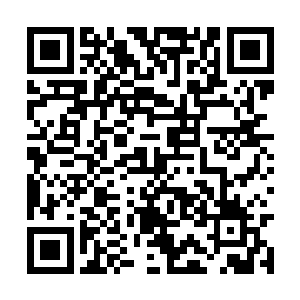 还专门赐他只有直系子弟才能修炼的人阶上品心法二维码生成