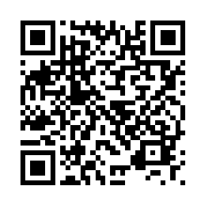 还从墨剑宗诈出了整整五千万金币二维码生成