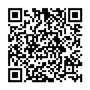 还从未见过类似的事情……一个连圣元力都没有的人二维码生成