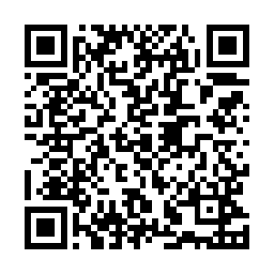 还从来没有人敢在遮天盟的一亩三分地说出这般嚣张的话二维码生成