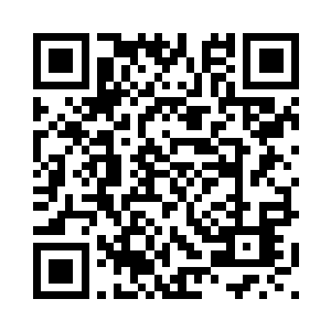 还从来没有从这个小海湾走出去过二维码生成