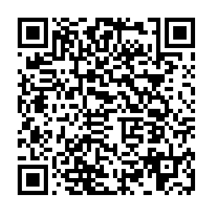 还从来没有见过任何一个地方能够比得上鸿蒙鼎空间更适合灵药的生长的二维码生成