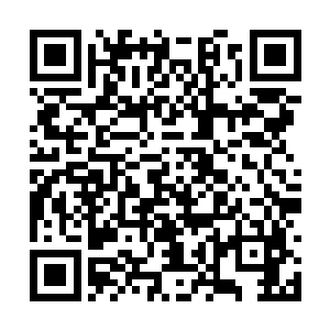 还从来没有见过在警察局还这么嚣张妄为的一群人二维码生成
