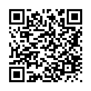 还从百宝袋中寻出了许多新鲜的蔬果二维码生成