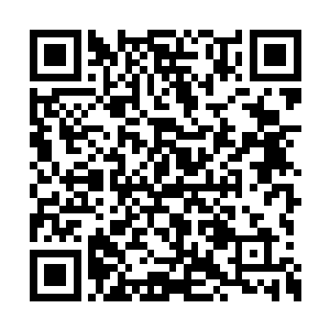 还从见您对那个女孩子这么上心这么小心翼翼过二维码生成