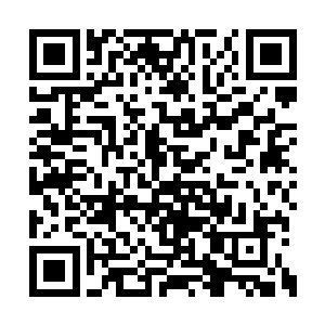 还仗着王浩文给你撑腰你就认为我不敢对你下手二维码生成