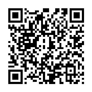 还以为他们能够在这一次的学院大赛当中创造辉煌呢二维码生成