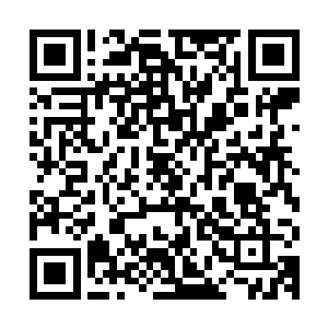 还以为是隔壁老王家的小子回来了呢――没想到是我的大明星孙二维码生成