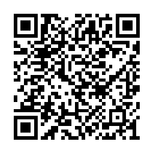还以为能从这丫头身上找到点和萧氏有关的线索二维码生成