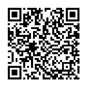 还以过来人的身份评判了族里那些年轻的勇士不错二维码生成