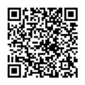 还会组织学员参观全国各地比较著名的一些园林经典二维码生成