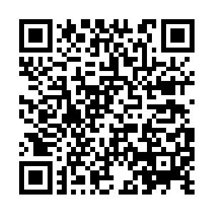 还伸手比划了一下朱平安被画儿扯出来的肠子长度二维码生成