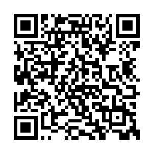 还关系着他们这些修炼之人毕生追求的长生之梦二维码生成