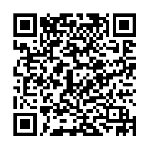 还别说・这次老鹿赢得了不少的赞同者・管他什么节奏二维码生成