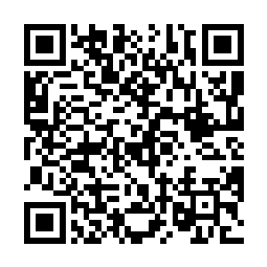 还加入了一些我们对自己所做的一切所引起结果的反思二维码生成