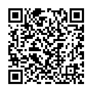 还另外准备了一套款式同样简单的蓝色小碎花被套二维码生成