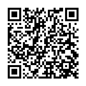 还只有一把一次性可以发射是十五发子弹的m9手枪二维码生成