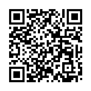 还可以在冰上捕抓海豹海象和冰熊二维码生成