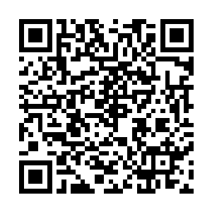 还可以看到从树林到那处有一条弯曲的红雪点缀而成的路线二维码生成