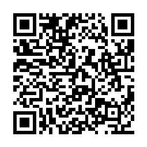 还听说因为吕家的追兵而害得任家大公子坠了崖二维码生成