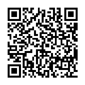 还听说这些女孩被贺飞在暑假组织起来去南方大城市见世面培训二维码生成