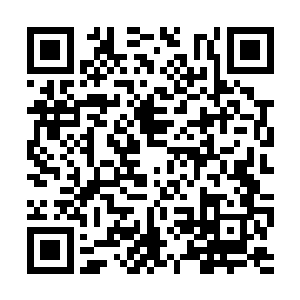 还在为其结束多尼亚四十年的独裁统治而摇旗呐喊二维码生成