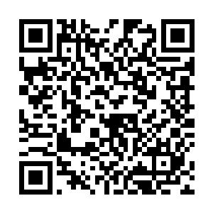 还在蛛爪上的修士也被爪子迅速地带回到黑蛟蛛的身边二维码生成