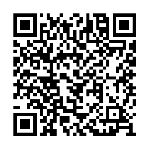 还好刚才抱她上去休息的时候摸了一下她的额头二维码生成