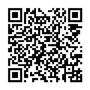 还好卢俊义身后不远处发出的响动叫众人看到一丝曙光二维码生成