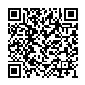 还好在关键时刻被幕儿及时的用琴音控控制住了二维码生成