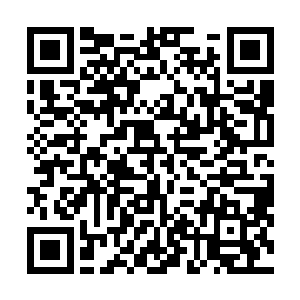 还好墨修尧也知道他家阿璃不喜欢别人嫌弃她的宝贝儿子二维码生成