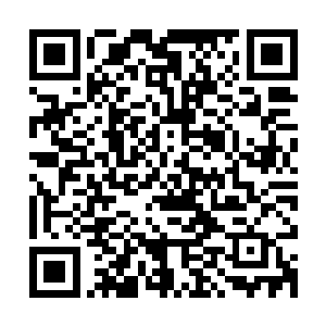 还好我机智……刚才没有跳到远吕智阵营去……这才半分钟不到二维码生成