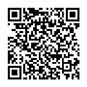 还好我的巷子口有芷微留下的行动顺利痕迹……孟奇略略庆幸二维码生成