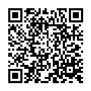 还好有宋玉致和宋师道这两个出身名门的兄妹留下来帮忙二维码生成