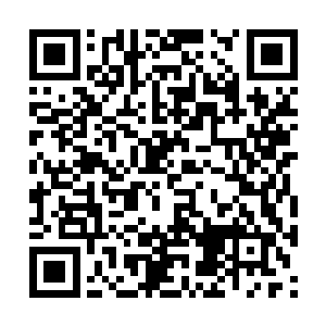 还好贝海准备的鱼箱大要不是这条大的就放不下了二维码生成