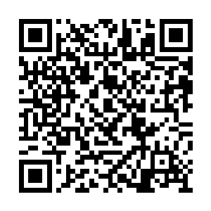 还好这栋老房子前些年经过了一定的修缮和维护二维码生成